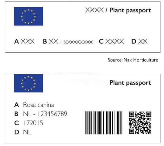 Passaporto-delle-piante-2019-Esempi-di-codifica-1