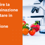 SEO articolo blog Prevenire la contaminazione alimentare in fase di produzione