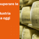 immagine SEO articolo blog Come superare le sfide dell’industria casearia oggi