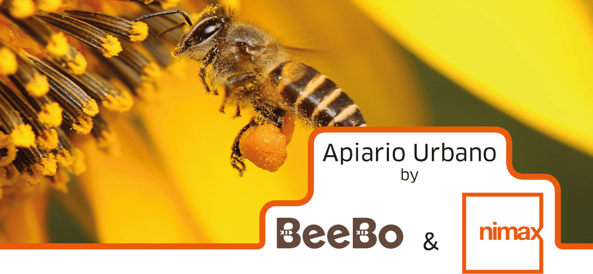 Progetto apiario nimax beebo