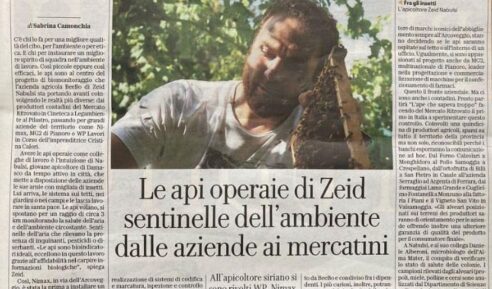 Rassegna stampa nimax spa copertina, Le api operaie di Zeid sentinelle dell'ambiente