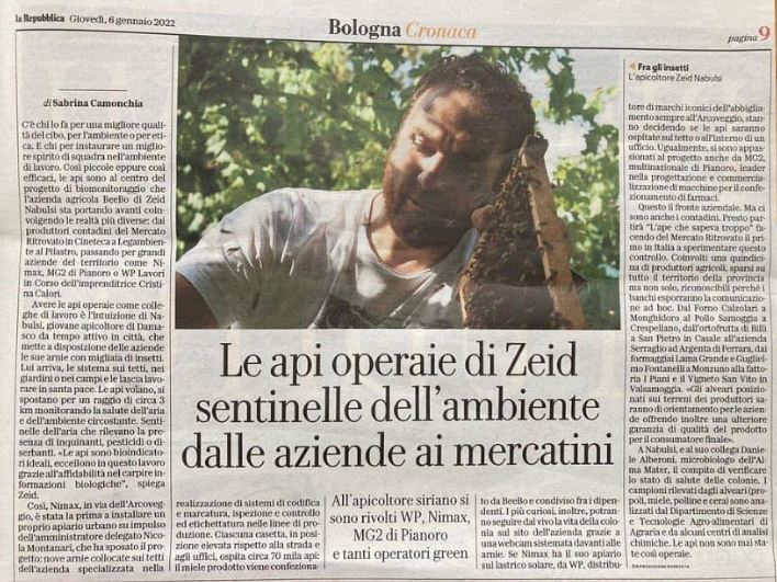 Rassegna stampa nimax spa copertina, Le api operaie di Zeid sentinelle dell'ambiente