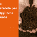 SEO copertina articolo Plastica compostabile per imballaggi una breve guida
