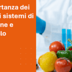 immagine SEO articolo blog L’importanza dei test dei sistemi di ispezione e controllo