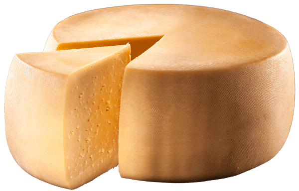 ispezione e controllo forme intere di formaggio