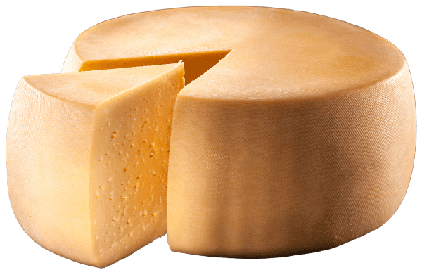 ispezione e controllo forme intere di formaggio industria casearia