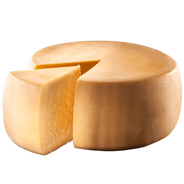 ispezione e controllo forme intere di formaggio industria casearia