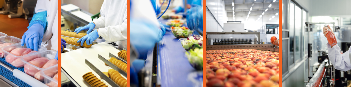 esempi produzione alimenti contaminazione fisica come prevenirla controllo qualità alimentare brand protection