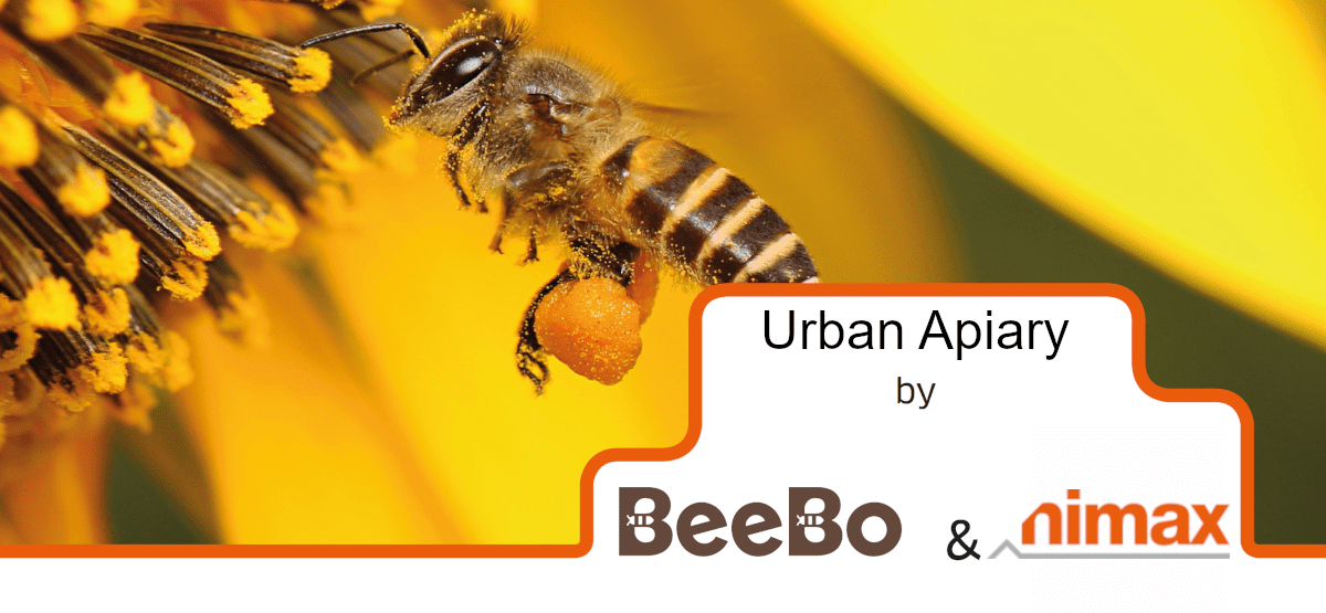 Progetto urban apiary nuovo logo