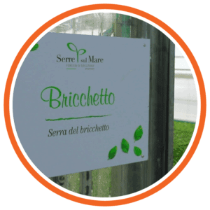 serre di basilico pesto di prà