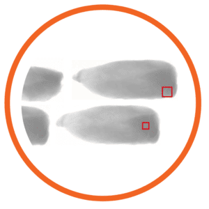 ispezione raggi x contaminanti in prodotti avicoli - carne