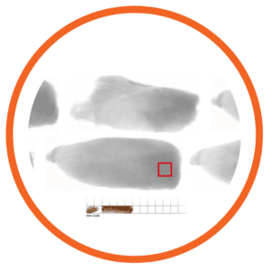 verifica presenza contaminanti con sistema di ispezione a raggi x in alimenti