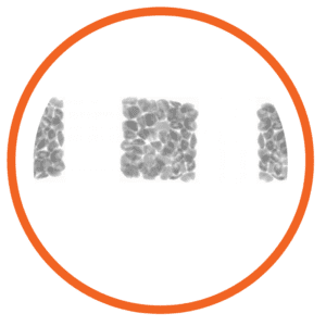 esempio di scansione a raggi x di prodotti alimenti